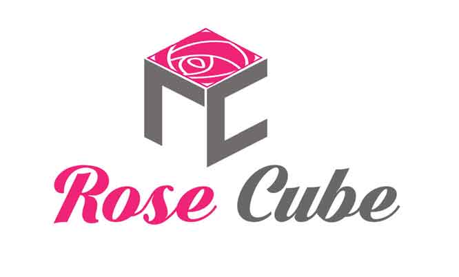 freelance logo design29